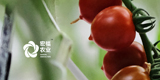 谈球吧入口网页版
