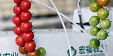 谈球吧入口在线观看